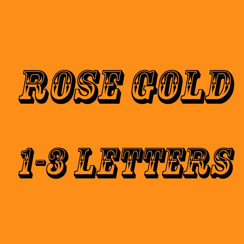 Custom Hair Clips Gold Filled Letters Name Hair Pins Personilized
