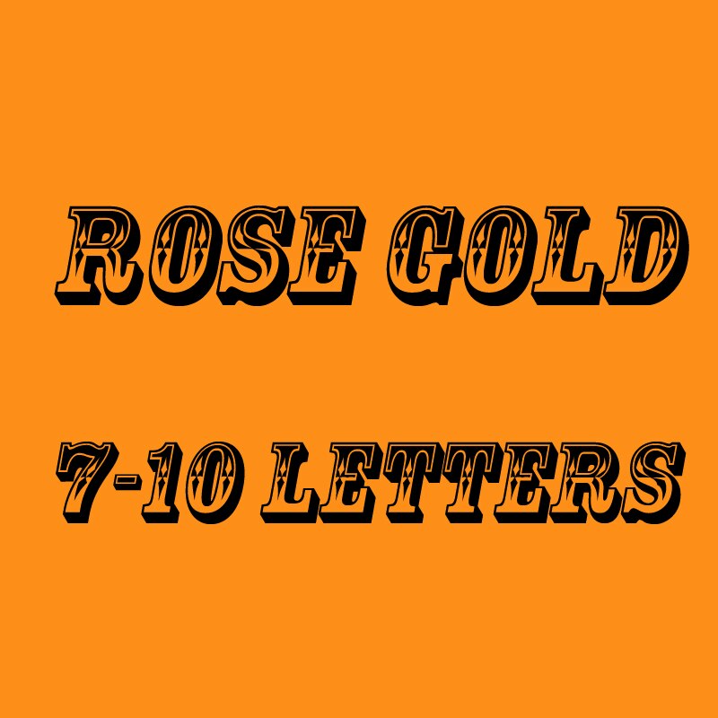 Custom Hair Clips Gold Filled Letters Name Hair Pins Personilized